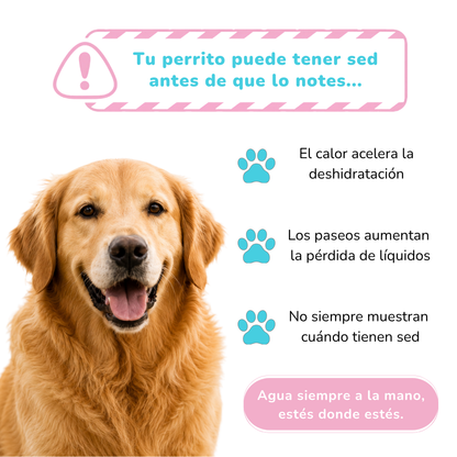Botella de Agua para Perros